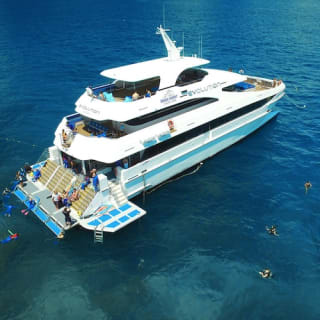 Outer Great Barrier Reef Full-Day Tour with Lunch 2
