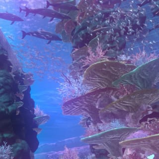 MIRRORGE OSAKA：Enchantry Aquatica 4