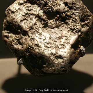 Two Smithsonian Museums: American & Natural History Private Tour 5