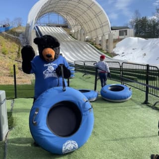 Rowdy Bear's Smoky Mountain Snowpark: 2-Hr Unlimited Wristband 9