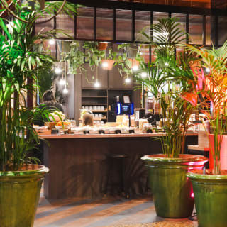 Sunday Drag Brunch at SERRA – A Dazzling First in Brussels 3