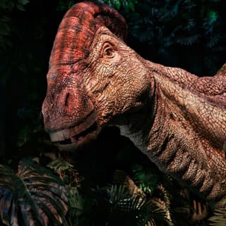 Jurassic World, l'Exposition 3