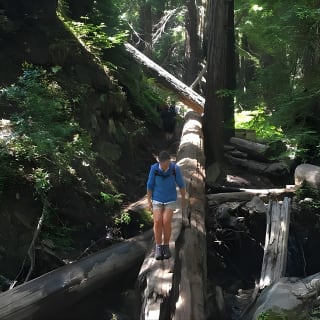 3-Hour Kayaking and Hiking in California’s Central Coast 5
