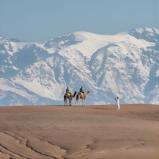 Promenade à dos de chameau à Agafay et vallée de l'Ourika dans les montagnes de l'Atlas 1