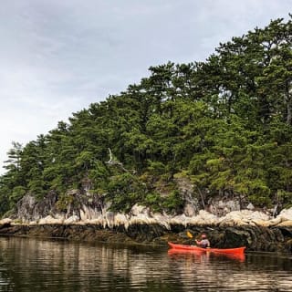Casco Bay Half-Day Sea Kayak Tour 4