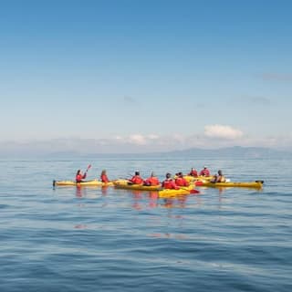 The Maori Carvings Half Day Kayak 4