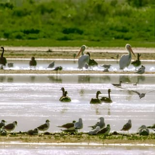 Great Salt Lake Guided Bus Tour from Salt Lake City 3
