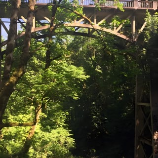 Explore Columbia River Gorge Half-Day Small-Group Tour  38