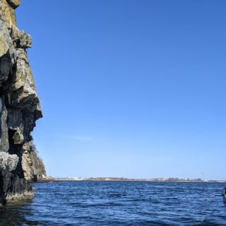 Casco Bay Half-Day Sea Kayak Tour 6