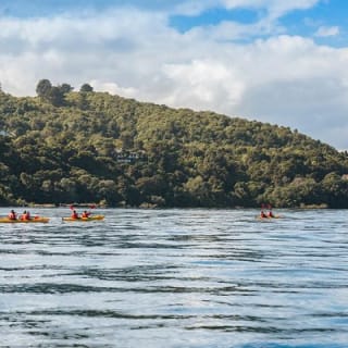 The Maori Carvings Half Day Kayak 6
