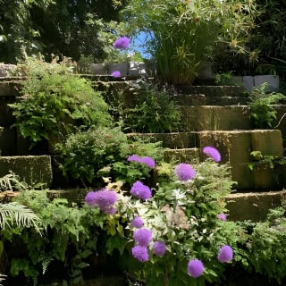 Soller Valley Walk with Orange Farm Visit 13