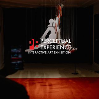 Perceptual Experience: An Interactive Art Exhibition 2
