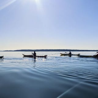 Casco Bay Half-Day Sea Kayak Tour 7