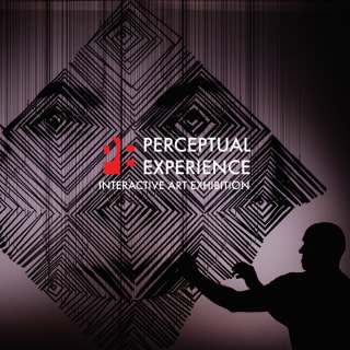 Perceptual Experience: An Interactive Art Exhibition 3