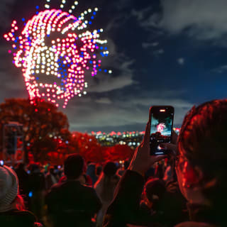Ally Pally Fireworks & Drone Festival 3