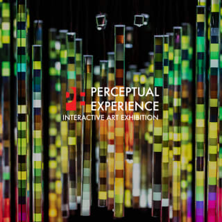 Perceptual Experience: An Interactive Art Exhibition 1
