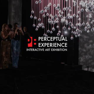 Perceptual Experience: An Interactive Art Exhibition 4