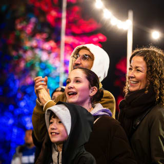 Ally Pally Fireworks & Drone Festival 5