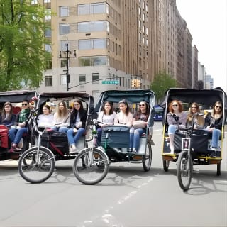 Deluxe 1.5-Hour Central Park Pedicab Tour 4