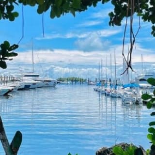1 hour Miami Private Boat Ride with champagne 4