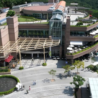 Victoria Peak: salita alla vetta tramite gli scaleelevatori Mid-Levels con un tour audio 3