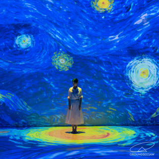 Van Gogh Inside 2026: Love, Vincent 3