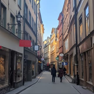 2-Hour Walking Tour Stockholm (Old Town and Surroundings) 8