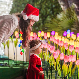 Spettacolo di luce natalizio costiero - Carta regalo 2