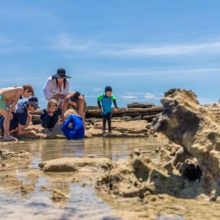 Frankland Islands Reef Cruise 3