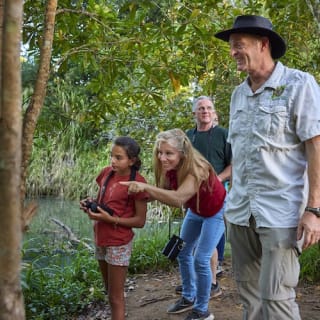 Nocturnal Rainforest & Wildlife Tour from Cairns 11