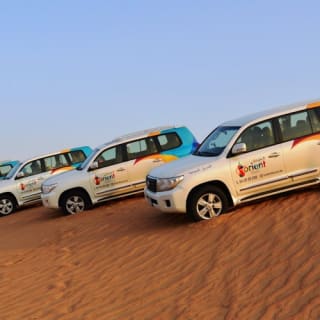 Motiongate Dubai: 1-Day Pass + Private Transfer 15