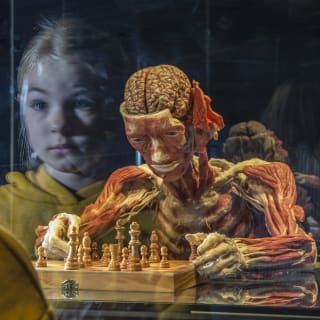 Body Worlds 2