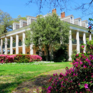 Oak Alley Plantation: Tour from New Orleans 4