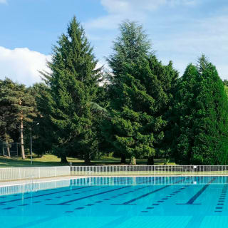 Tirolinas de Pino a Pino + Día de piscina 1