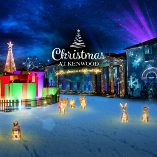 Christmas at Kenwood: A Breathtaking Light Trail 1