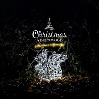 Christmas at Kenwood: A Breathtaking Light Trail 3