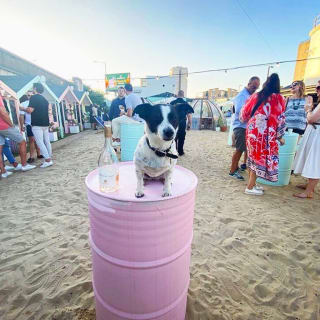 Bottomless Beach Brunch at Fulham Beach 5