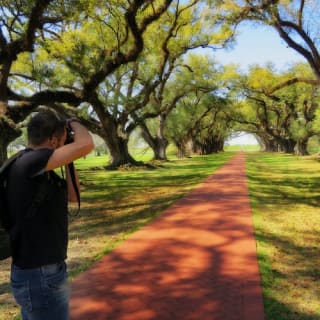 Oak Alley Plantation: Tour from New Orleans 5