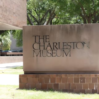 City Bus Tour with Charleston Museum Admission 2