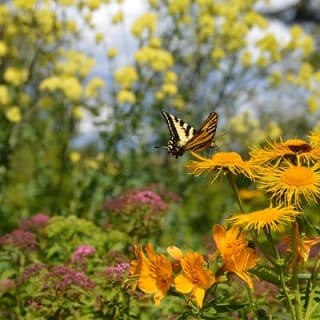 VanDusen Botanical Garden Admission Ticket 4