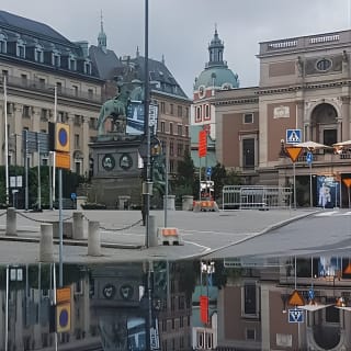 Stockholm Like a Local: Customized Private Tour 2