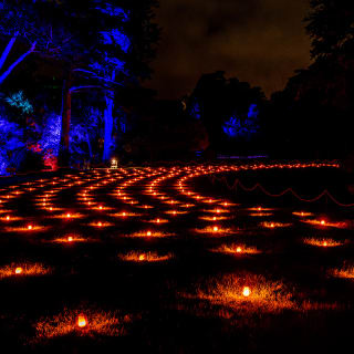 Lightscape: A Dazzling Trail of Color and Light - Waitlist 3