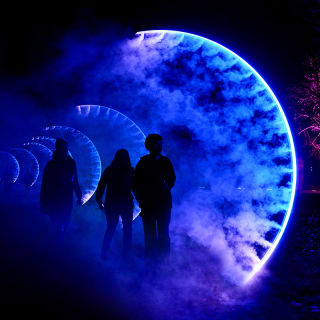 Lightscape: A Dazzling Trail of Color and Light - Waitlist 4