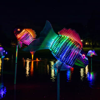 Lightscape: A Dazzling Trail of Color and Light - Waitlist 5