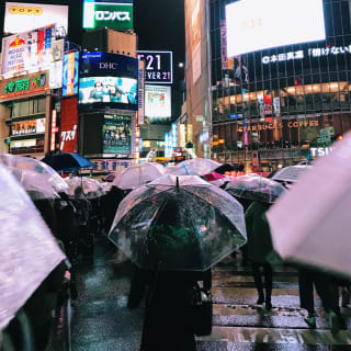 Planes bajo la lluvia 7 1
