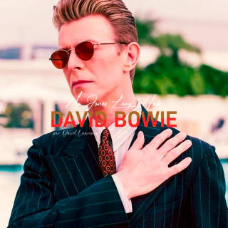 David Bowie, Mr Jones' Long Hair - par David Lawrence 3