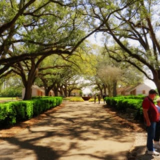 Oak Alley Plantation: Tour from New Orleans 7