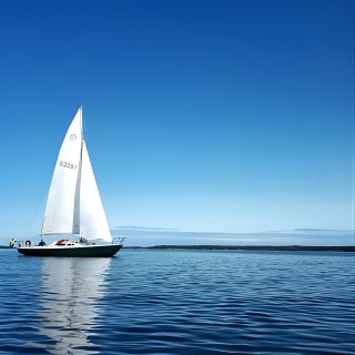 Stockholm Archipelago Sailing Day Tour 9