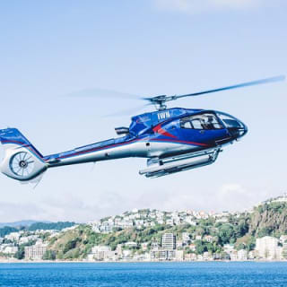Scenic Wellington Helicopter Flight 2