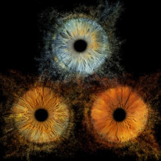 Iris Galerie Expérience : transforme ton œil en œuvre d’art ! 2